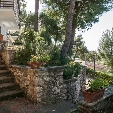 Casa Kair Trilo 223 *